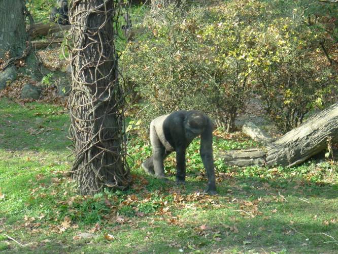USA_2011-11-21 13-55-03